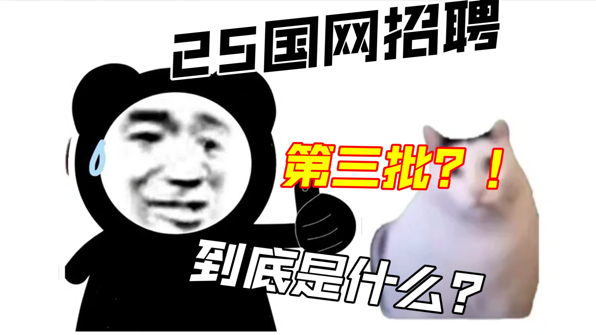 国网新公告~第三批到底是什么??哔哩哔哩bilibili