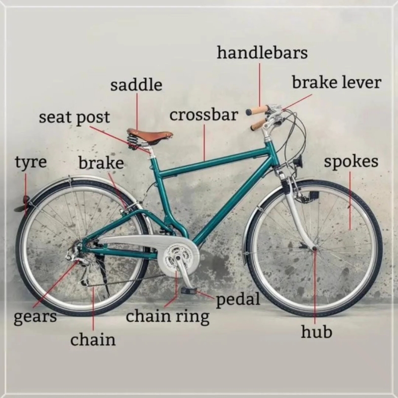 自行车英语英语单词图片