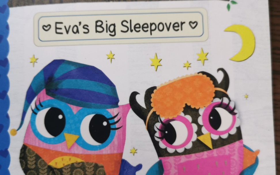 [图]Owl Diaries_Eva's Big Sleepover_1