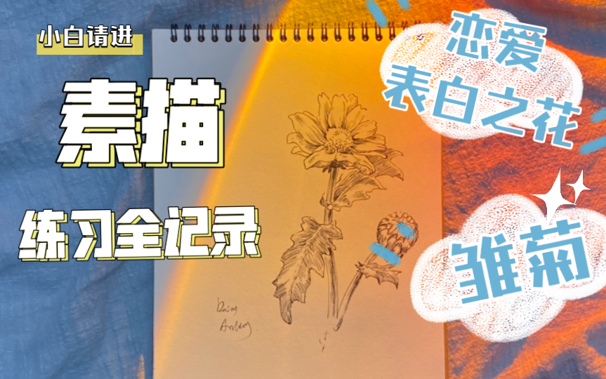 【素描针管笔】花卉雏菊花朵绘画过程全记录4k哔哩哔哩bilibili