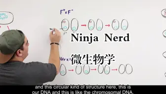 Ninja Nerd《微生物学|Microbiology》中英字幕（deepseek-R1