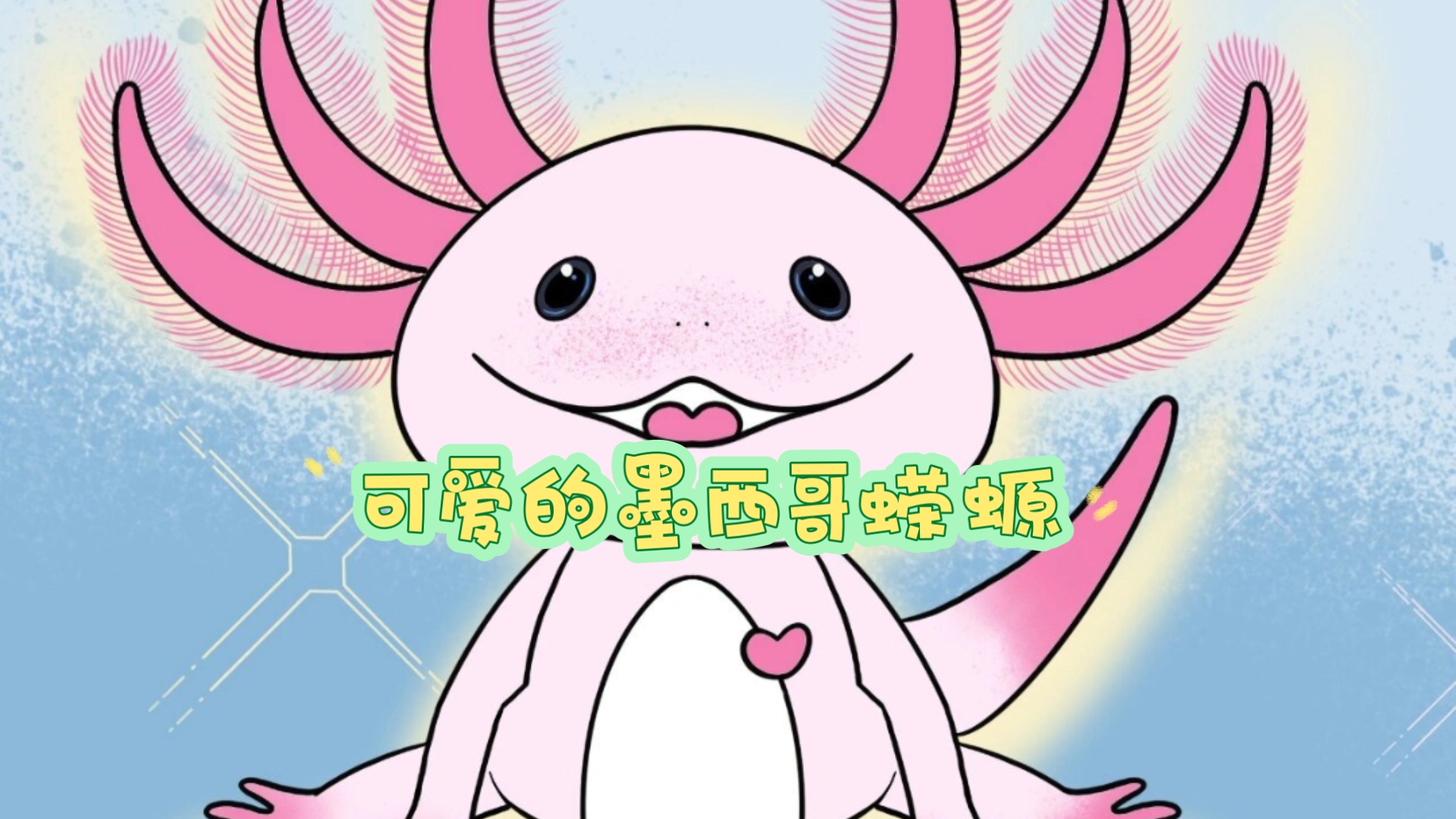 可爱的墨西哥蝾螈