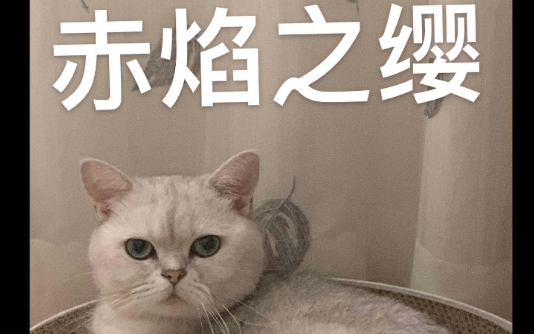 [图]【琵琶】猛男弹起了《赤焰之缨》，有人听吗？