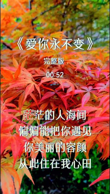 经典情歌《爱你永不变》完整版哔哩哔哩bilibili