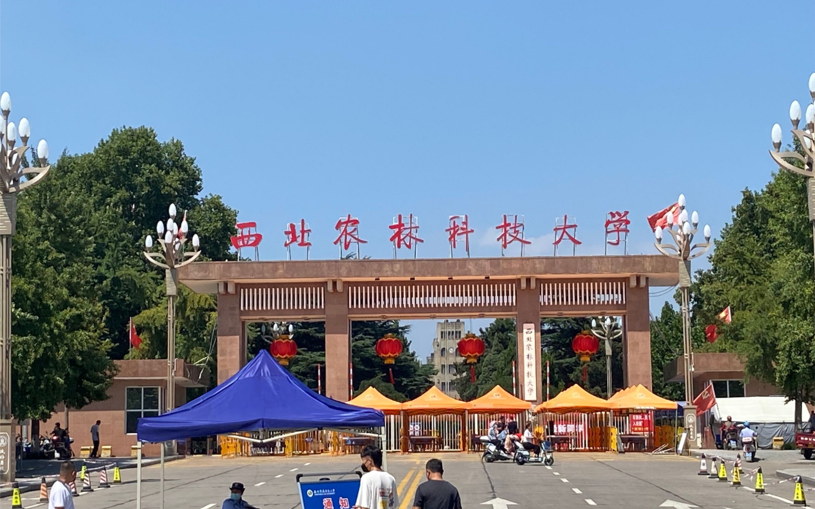 诚朴勇毅,热爱西农