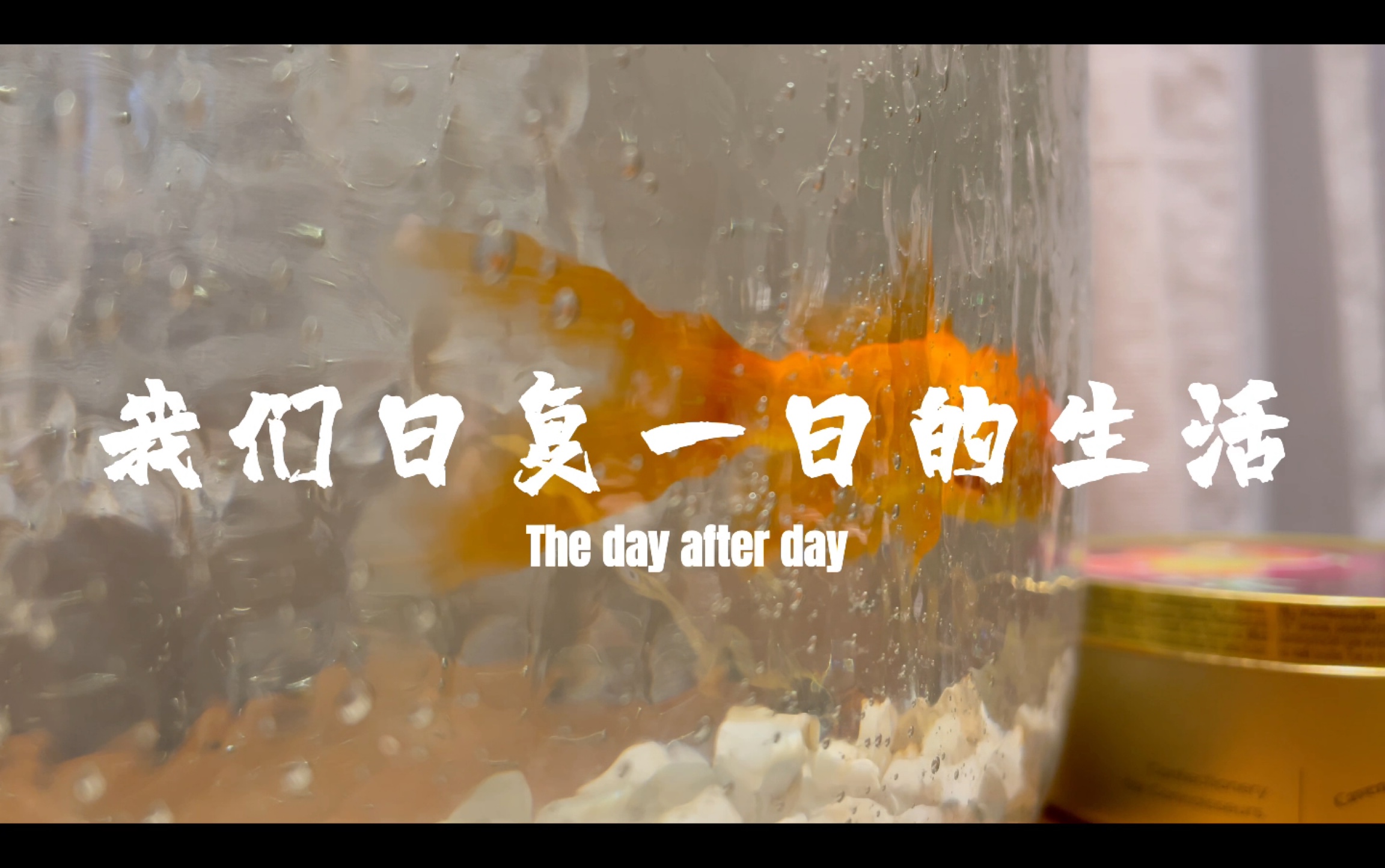 活动作品我们日复一日的生活