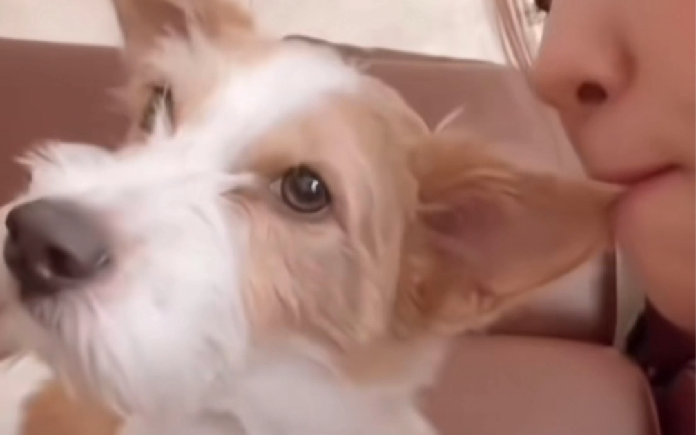 朴彩英和儿子hank回忆杀!又是魂穿hank的一天