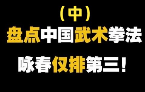 【武术拳法】盘点中国十大拳法排行,除咏春八极外,你还知道那些武术拳法吗?(中)哔哩哔哩bilibili