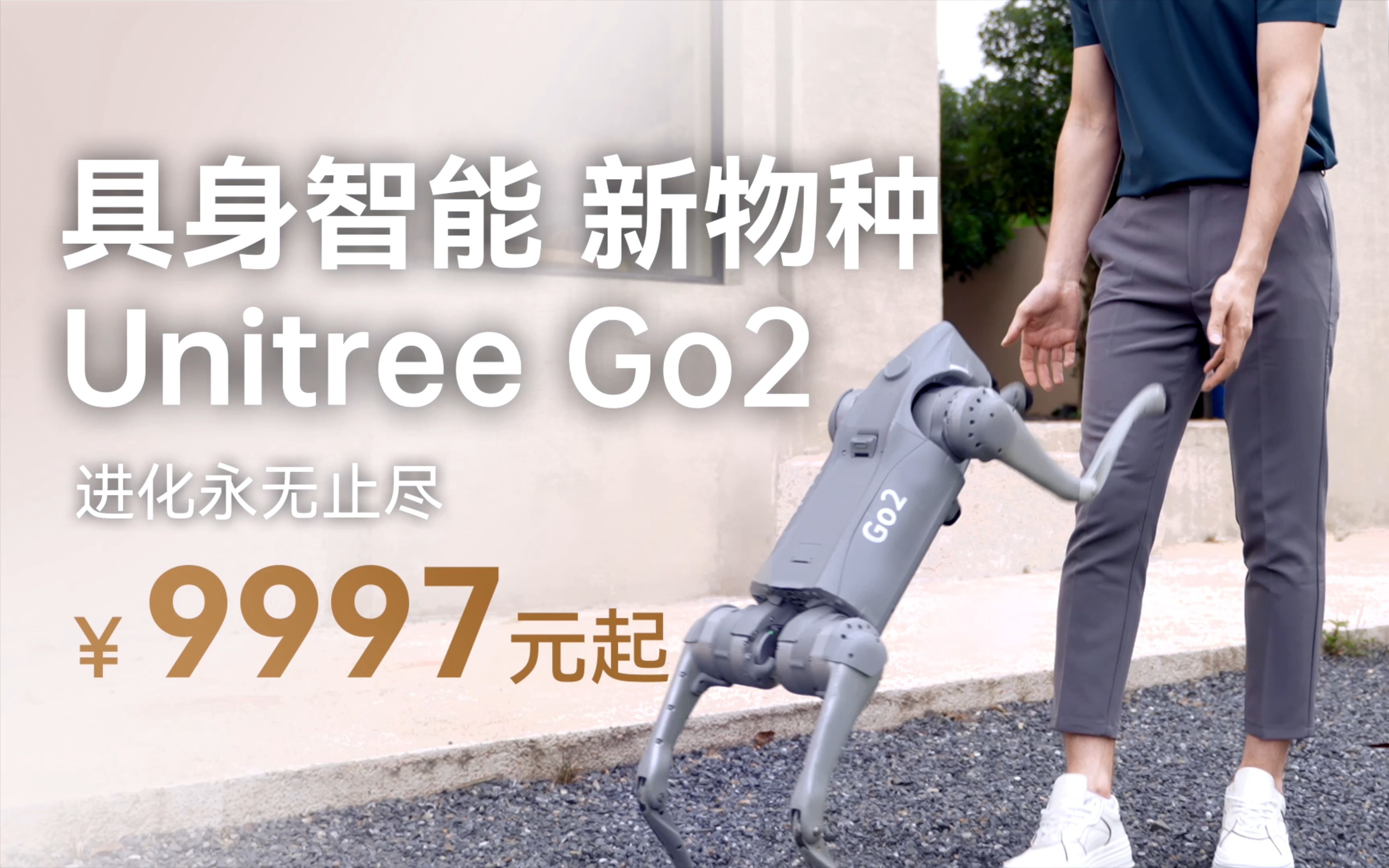 [图]宇树发布: Unitree Go2 具身智能 新物种 9997元起