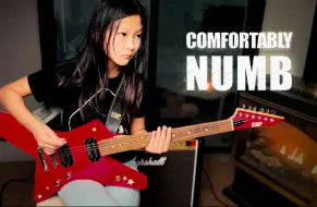 Download Video: Comfortably Numb 平克·弗洛伊德 Pink Floyd 小疯萝卜乐队吉他手