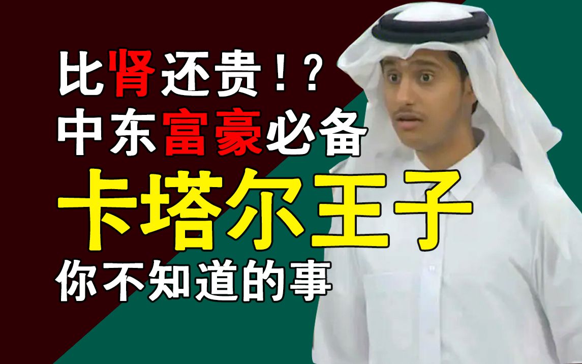 【中东富豪】头顶的饺子皮有多贵?肾听了汗颜呀!