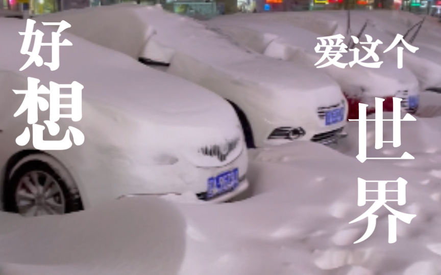 沈阳百年一遇大暴雪,这不是沈阳,这是雪乡!哔哩哔哩bilibili