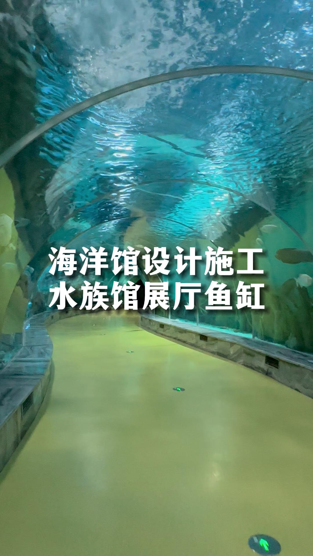 海洋馆设计施工,水族馆亚克力鱼缸定制