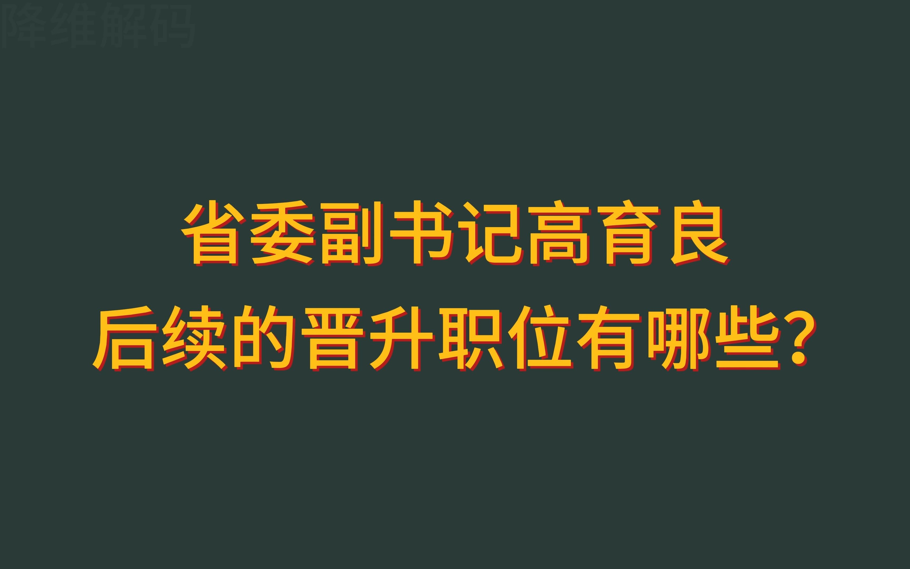 [图]省委副书记高育良后续的晋升职位有哪些？