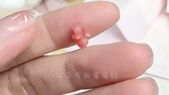 Download Video: 还好日常巡视发现了，第一次当妈把自己娃生💩盆了都不知道。已协助它放回育儿袋，希望能平安长大。#蜜袋鼯 #萌宠日常记录 #神奇动物在这里