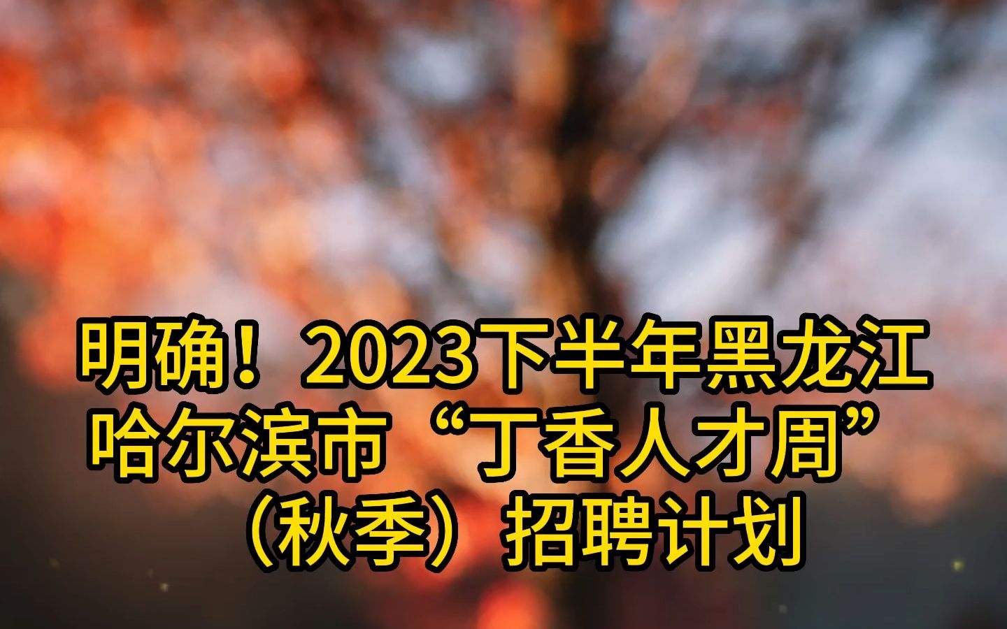 明确!2023下半年黑龙江哈尔滨市“丁香人才周”(秋季)招聘计划!哔哩哔哩bilibili