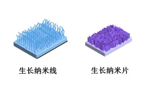 下载视频: PPT科研绘图-生长纳米线（片）