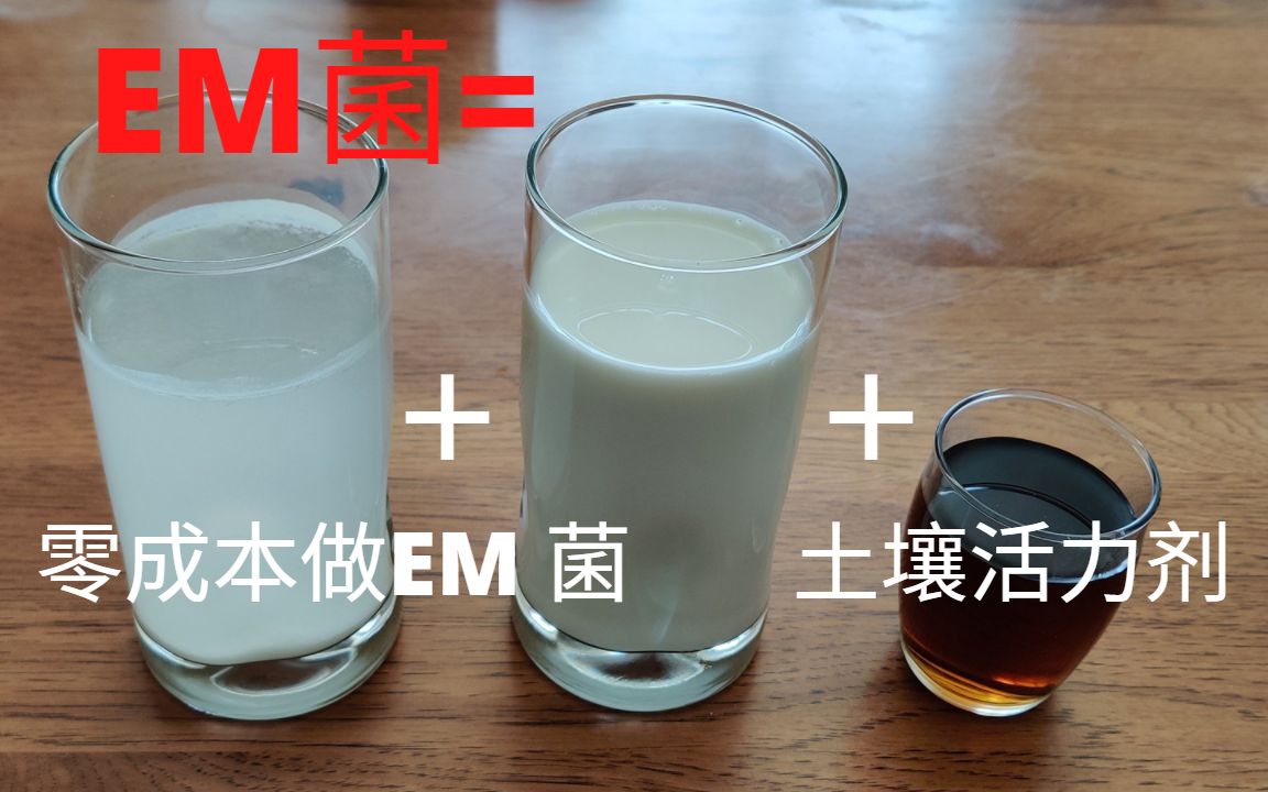 【自制有机肥】自制EM菌 在家零成本制作EM菌 土壤活力剂哔哩哔哩bilibili