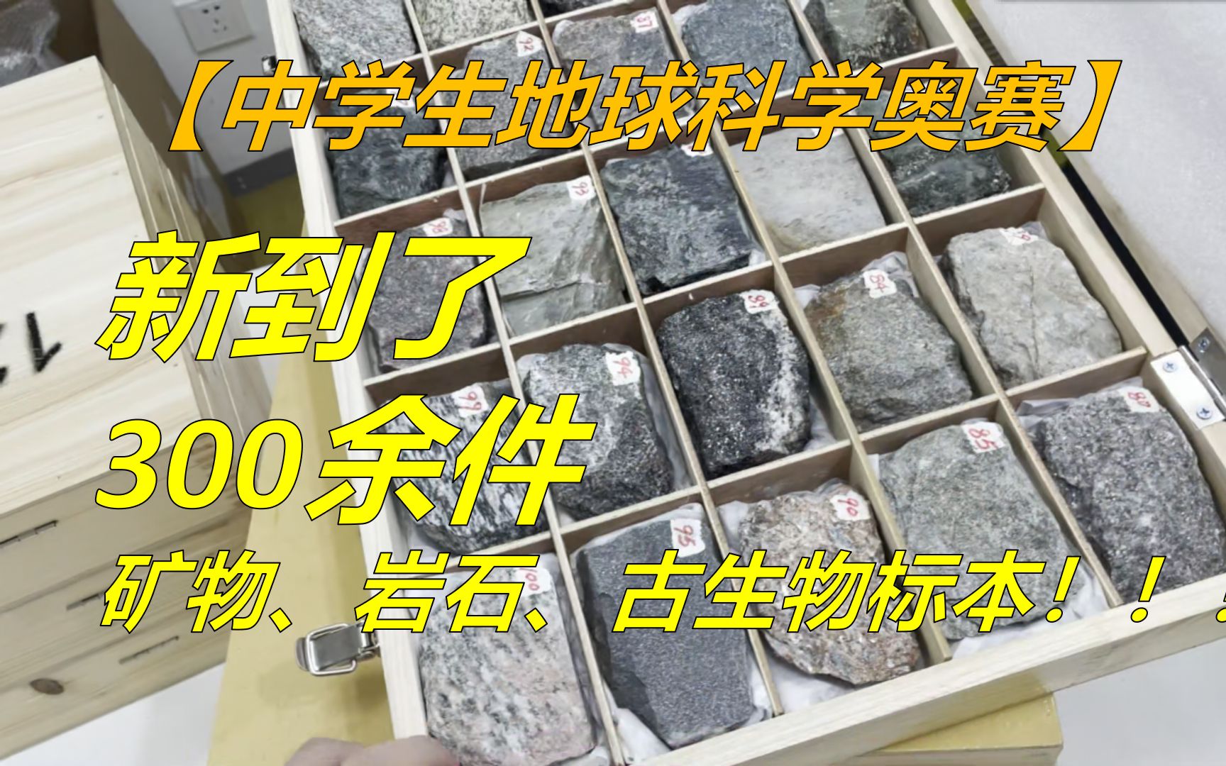 【地科奥赛】300+样品!陆家嘴豪门中学岩矿地质博物馆!哔哩哔哩bilibili