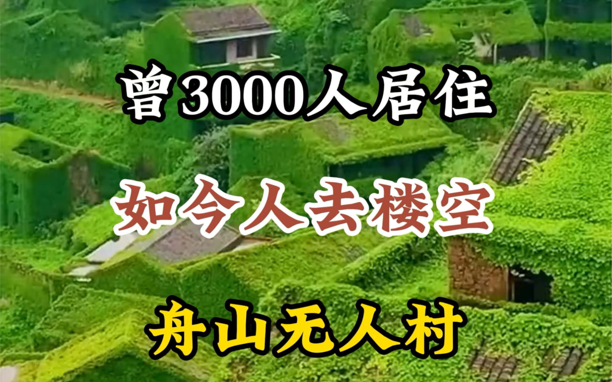 曾3000人居住,如今人去楼空,舟山无人村#旅游#带你看世界#旅行大玩家 #无人村 #旅行推荐官哔哩哔哩bilibili