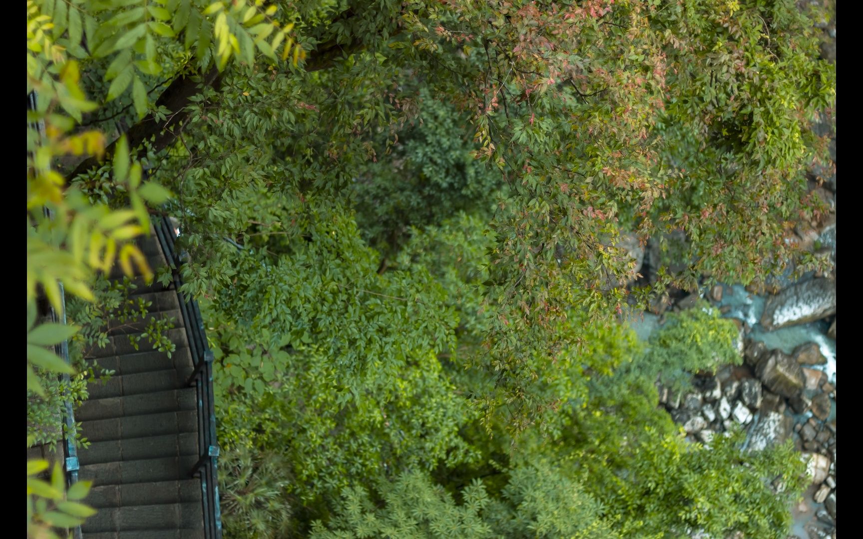 坚持用佳能600d拍照十年能拍出什么样的照片2