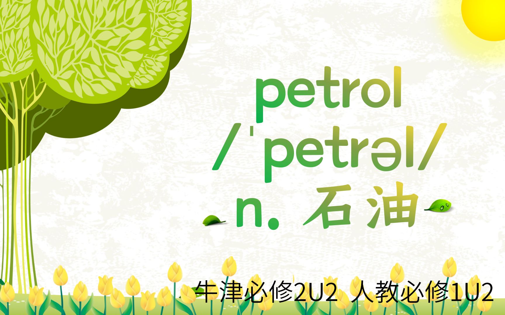 高中单词讲解:petrol 牛津必修2U2 人教必修1U2哔哩哔哩bilibili