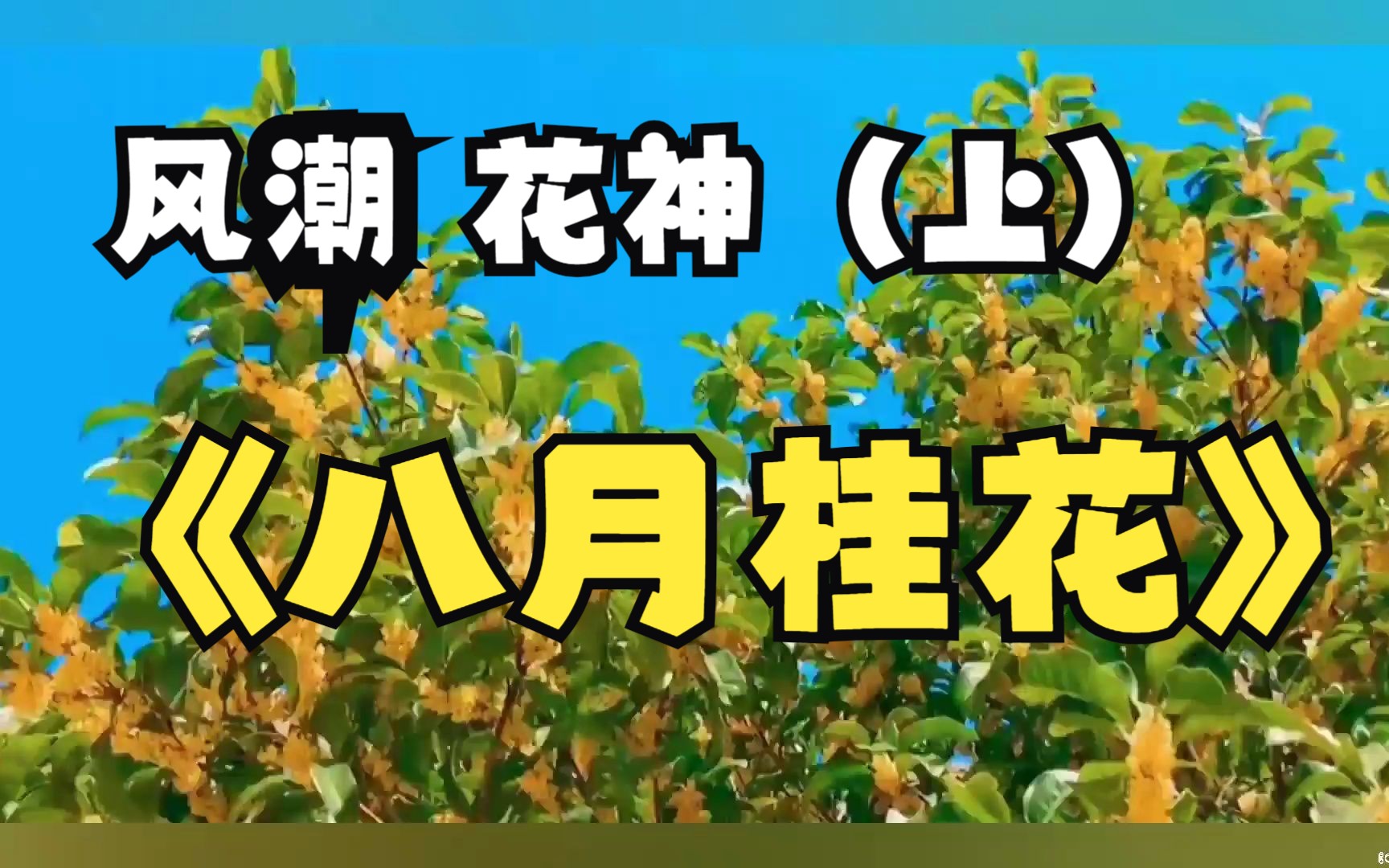 [图]八月.桂花~花神徐惠