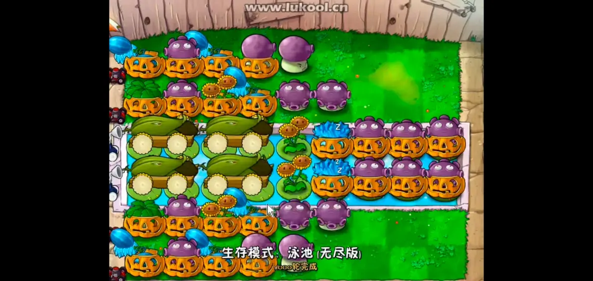 植物大战僵尸(无名版)下载安装最新版图片4