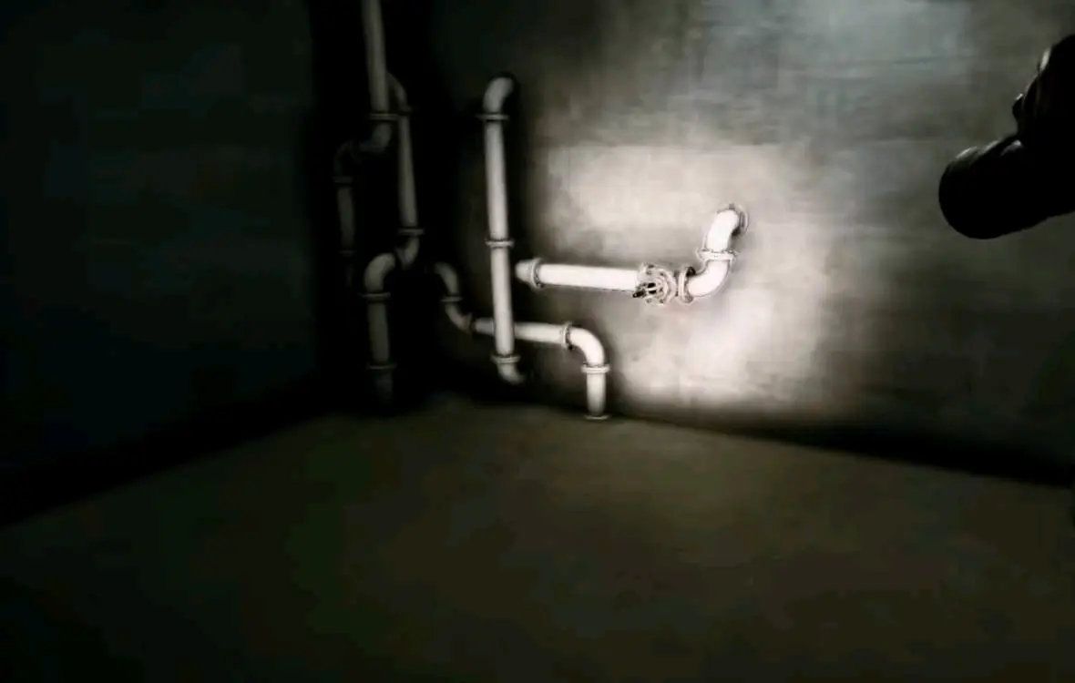 暗房游戏攻略联机版图片20