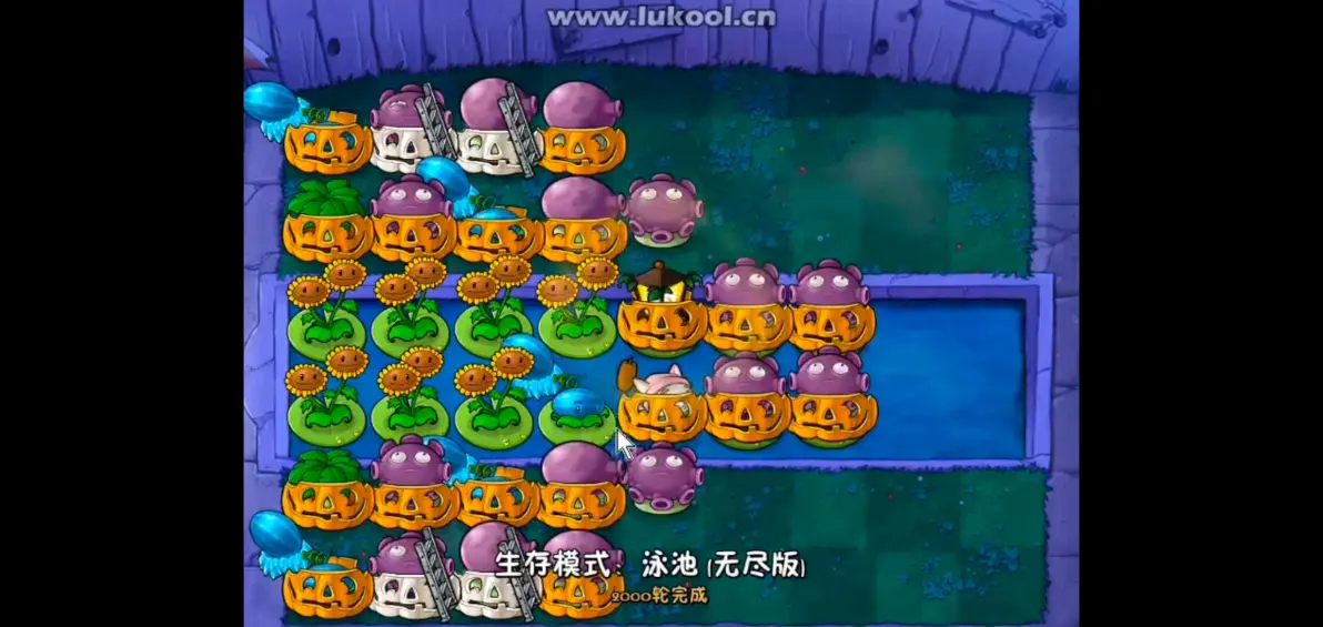 植物大战僵尸(无名版)下载安装最新版图片15