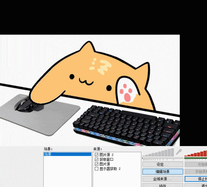 Bongo Cat 主图