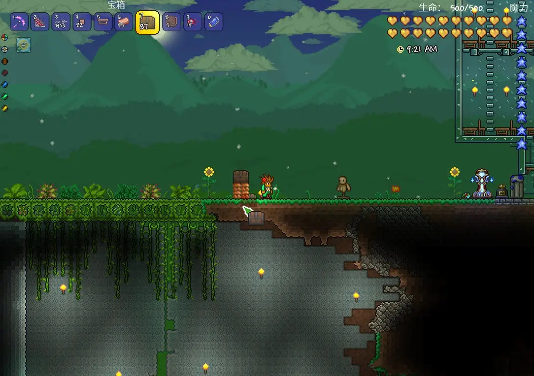 tmodloaderv0.11.8.8手机版下载汉化最新版图片10