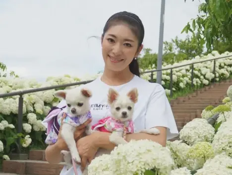 明星档案 第95期 小早川怜子(Reiko Kobayakawa)个人资料简介及作品写真图片！