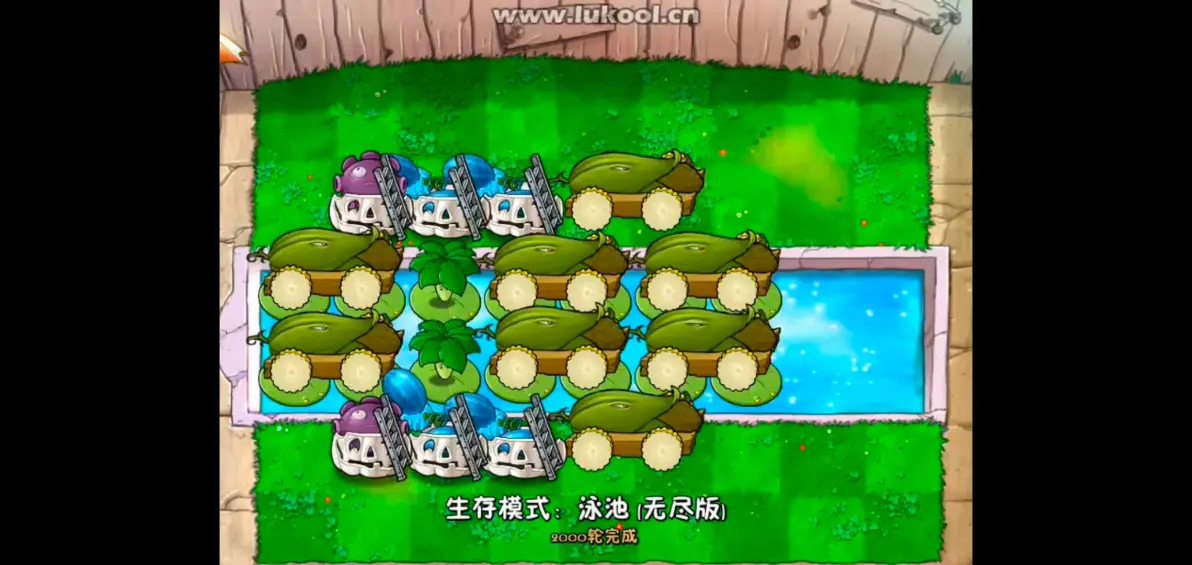 植物大战僵尸(无名版)下载安装最新版图片11