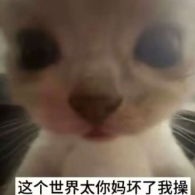 星澜在上幼稚园