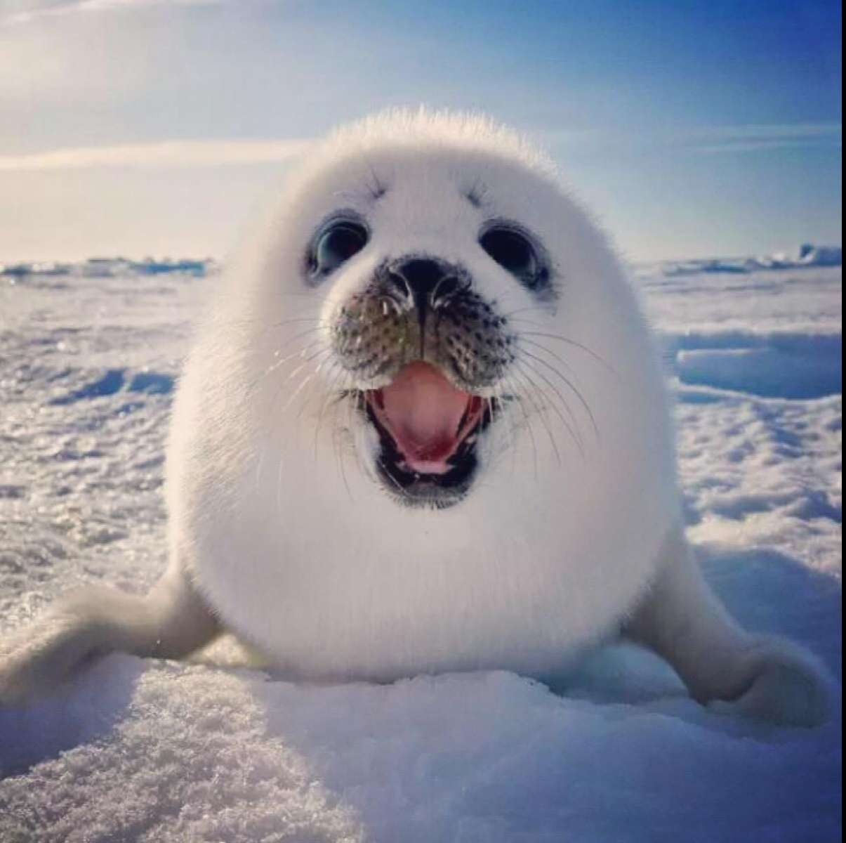 你有没有看过火力少年王?(每日速8)