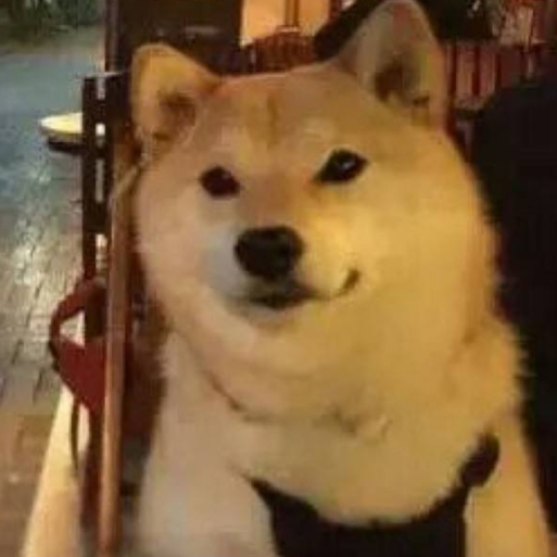 极地飞车手
