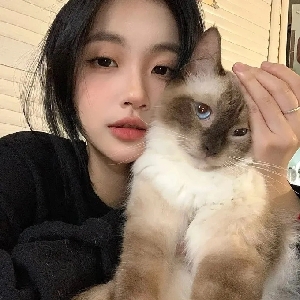 猫卡测评