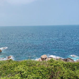 小张的v日记