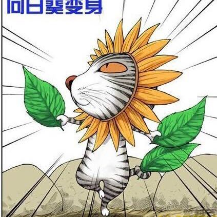 sseakom丨