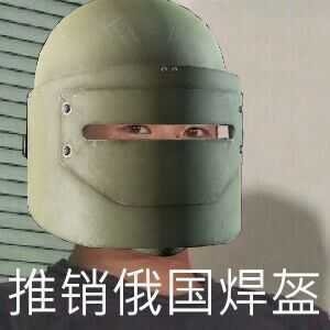 褐条斑跳蛛交配