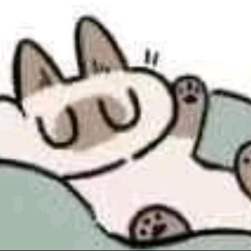 云白233