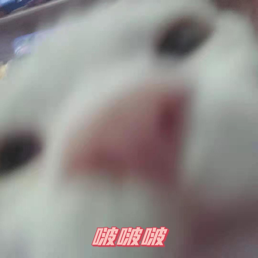 V圆满满V
