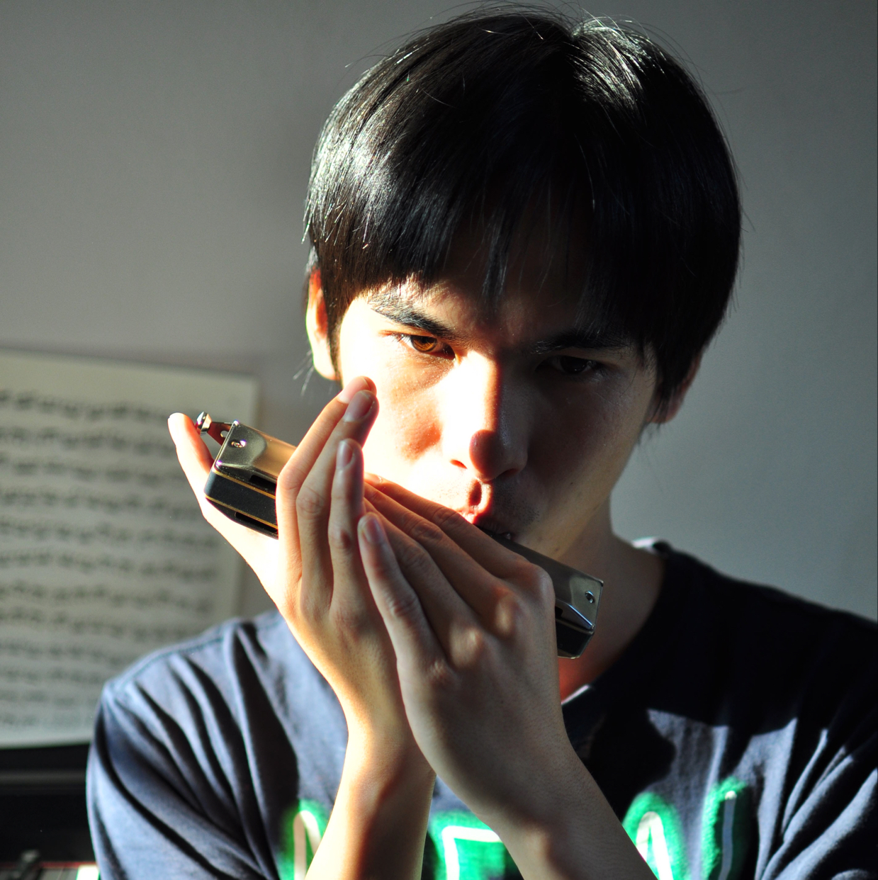 【口琴】你们要的未闻花名 secret base 这个冷饭啊!好冷啊!好冷啊!