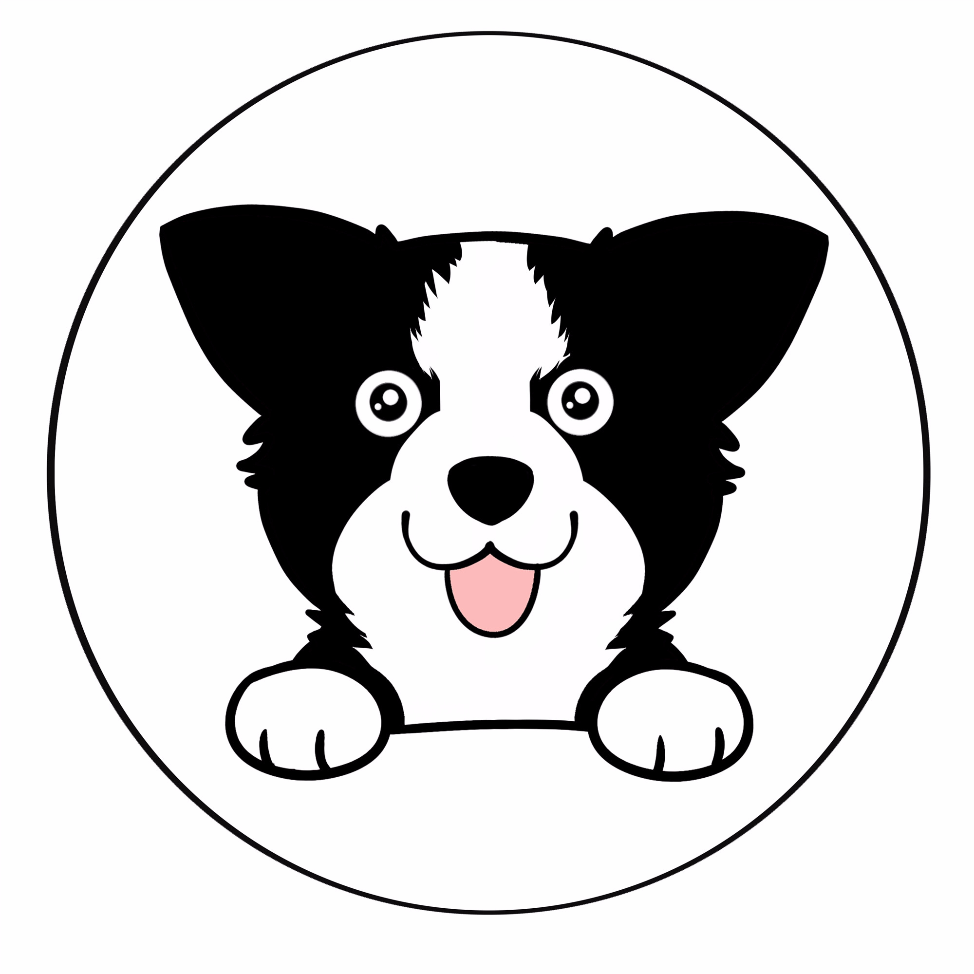 铲屎官让狗狗试闻猫薄荷,小边牧表示狗狗不发威当我是小猫吗?