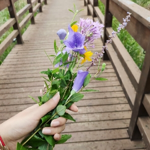 日本和风发饰七五三节细工花套簪出 哔哩哔哩专栏