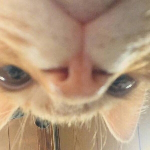⚠