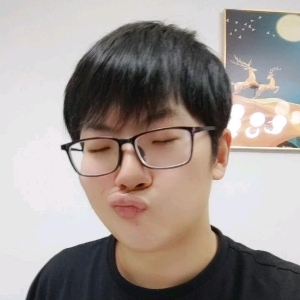 潘子鸟
