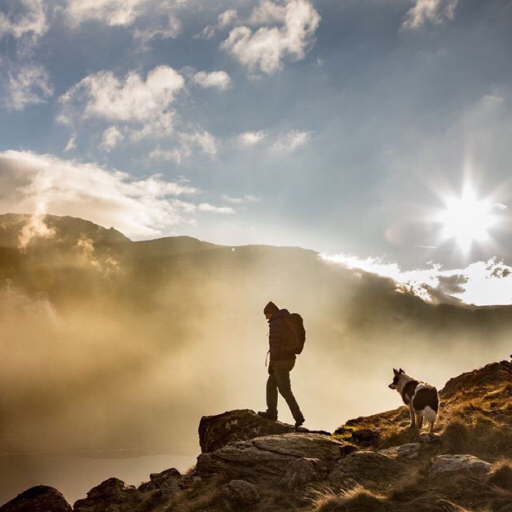 【戬心同人文】-寸心无心(上)