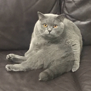 ⚠